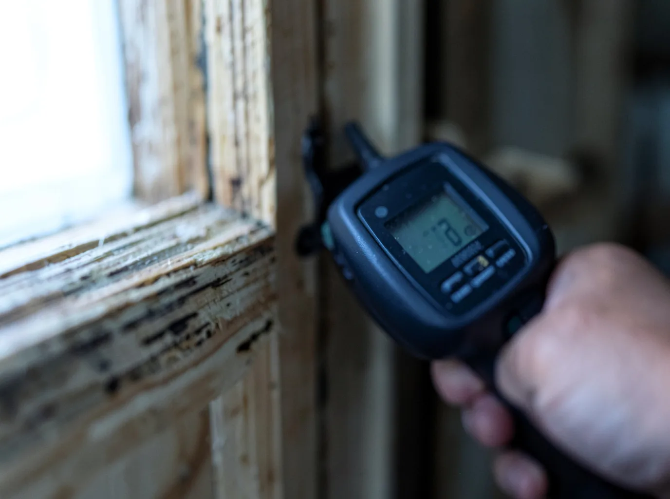 Commercial Water Damage Restoration in Cross Junction, VA